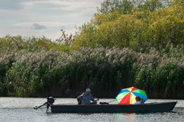 Angler auf dem Tisza-tó (Theiss-See)