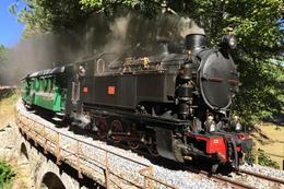 Dampfzug "Treno della Sila" mit der von Borsig gebauten F.C.L. 353 (Foto Internet)
