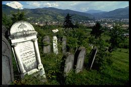 Der jüdische Friedhof auf der "Podori" oberhalb von Vișeu de Sus, ca. 1990