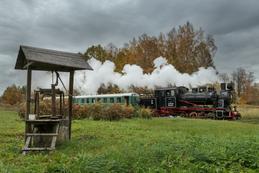 Unser Sonderzug passiert eine ländliche Station an der Strecke Gulbene-Aluksne, Lettland