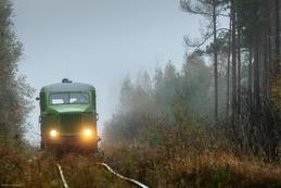 Torfbahn-Draisine in nebliger Landschaft bei Lavassaare, Estland