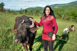 Eine muslimische Heidi mit ihrem Wasserbüffel in den Bergen des Sandschak's bei Novi Pazar, Serbien
