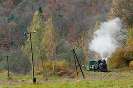 Waldbahn Cisna: Sonderzug auf der Rückfahrt von Balnica nach Majdan 16.10.2014 © Migu Schneeberger