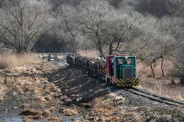 Zwei C50er mit einem beladenen Holzzug auf der Waldbahn von Csömöder (Ungarn) Foto © Migu Schneeberger