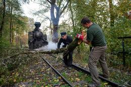 Waldbahn Gemenc: Deer Herbststurm hat im Donau-Auenwald seine Spuren hinterlassen Foto © Migu Schneeberger